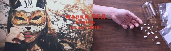 бошки Новодвинск