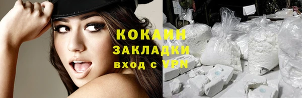 дмт Новозыбков