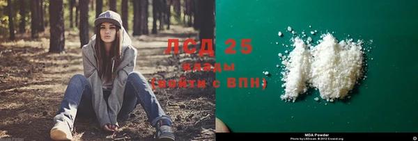 дмт Новозыбков