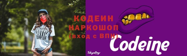 бошки Новодвинск