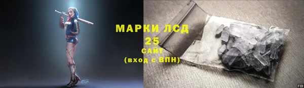 дмт Новозыбков
