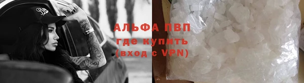 шишки Новокубанск