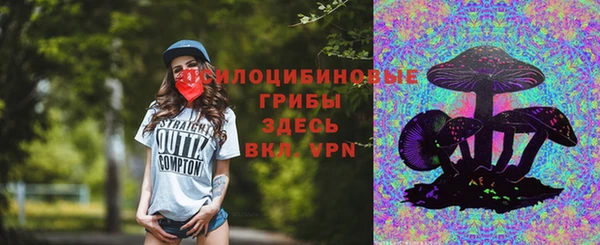 шишки Новокубанск