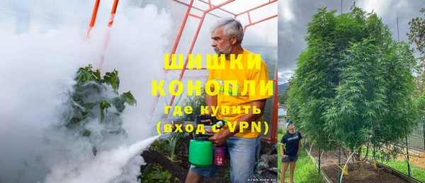 шишки Новокубанск