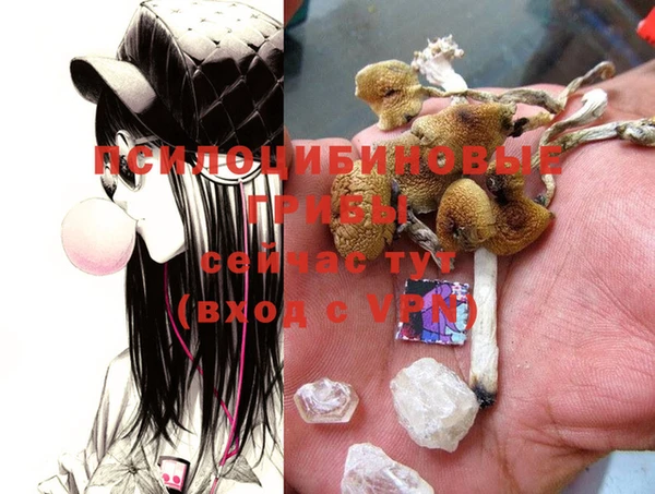 мяу мяу кристалл Нягань