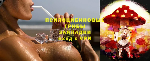 шишки Новокубанск