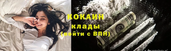 бошки Новодвинск